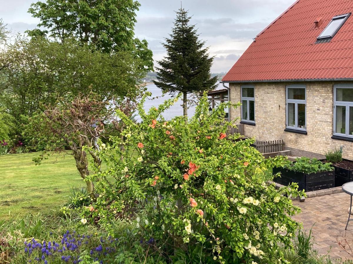 Sønderborg Bogebjerggard Bed & Breakfast מראה חיצוני תמונה