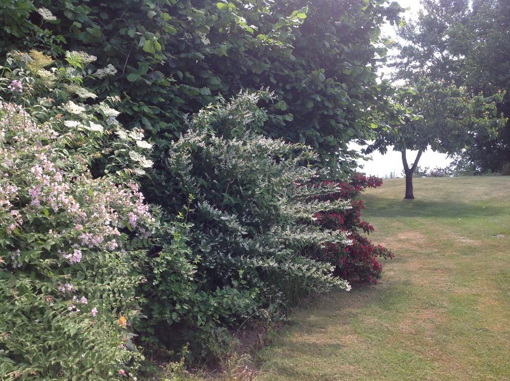 Sønderborg Bogebjerggard Bed & Breakfast מראה חיצוני תמונה