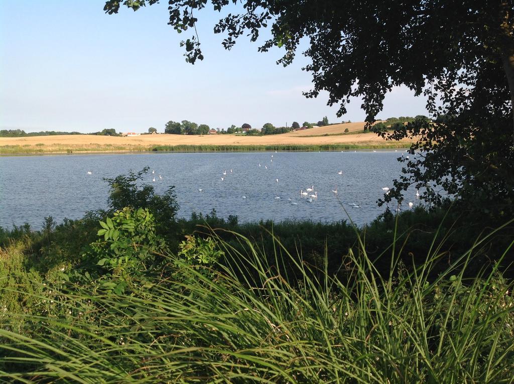 Sønderborg Bogebjerggard Bed & Breakfast מראה חיצוני תמונה