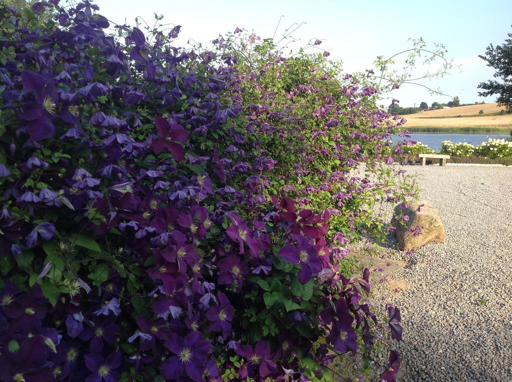 Sønderborg Bogebjerggard Bed & Breakfast מראה חיצוני תמונה