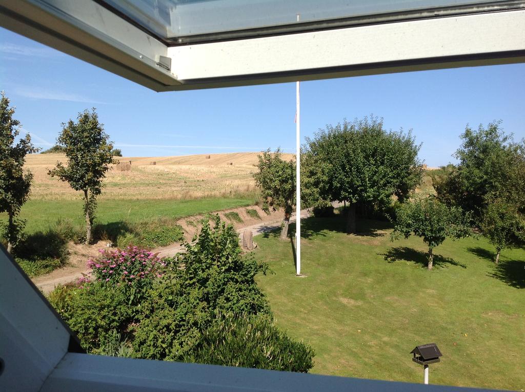 Sønderborg Bogebjerggard Bed & Breakfast מראה חיצוני תמונה