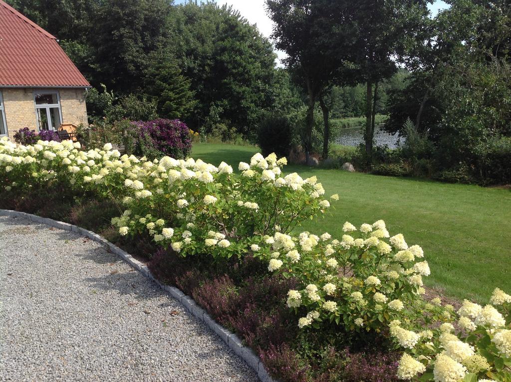 Sønderborg Bogebjerggard Bed & Breakfast מראה חיצוני תמונה