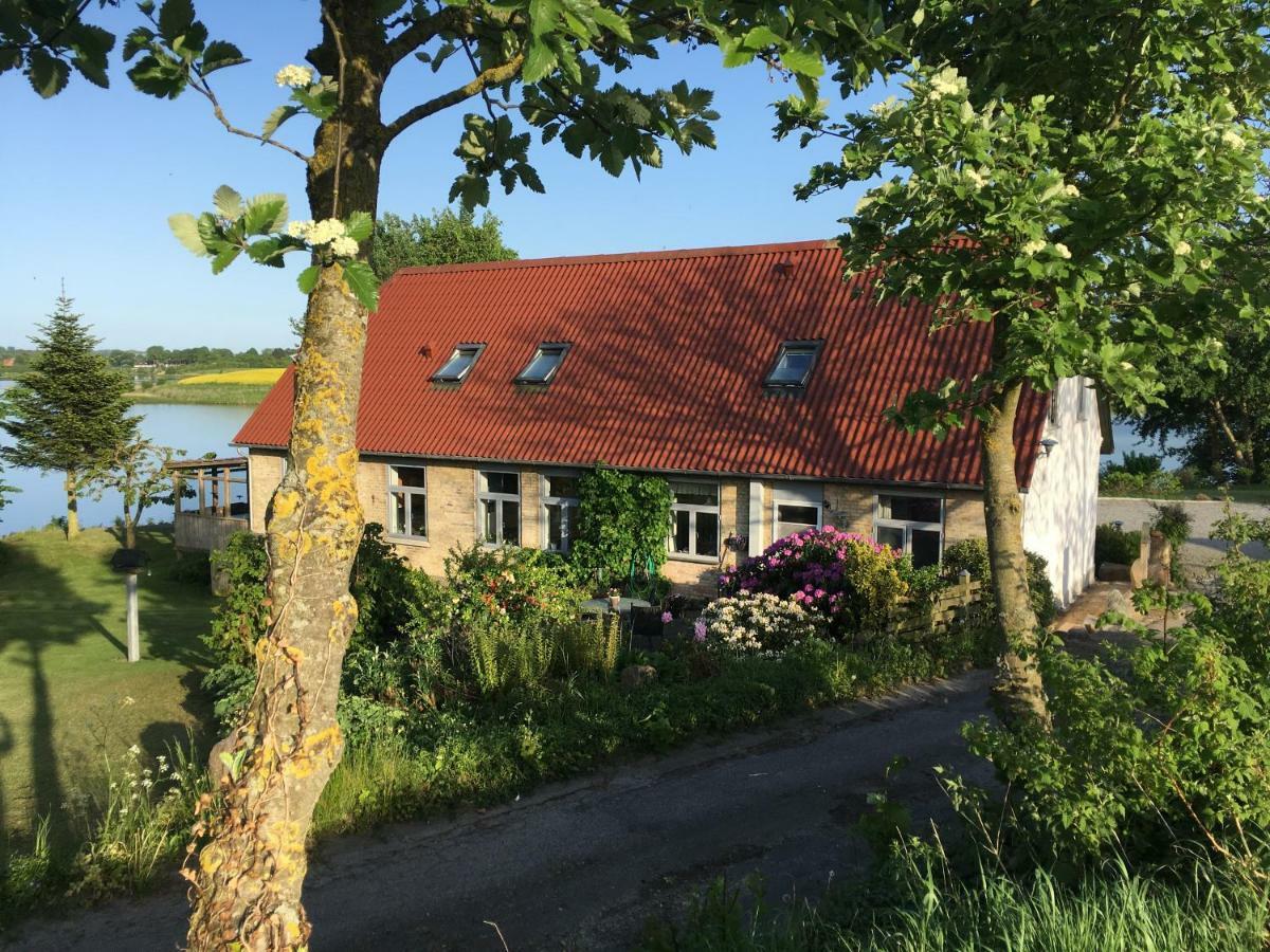 Sønderborg Bogebjerggard Bed & Breakfast מראה חיצוני תמונה
